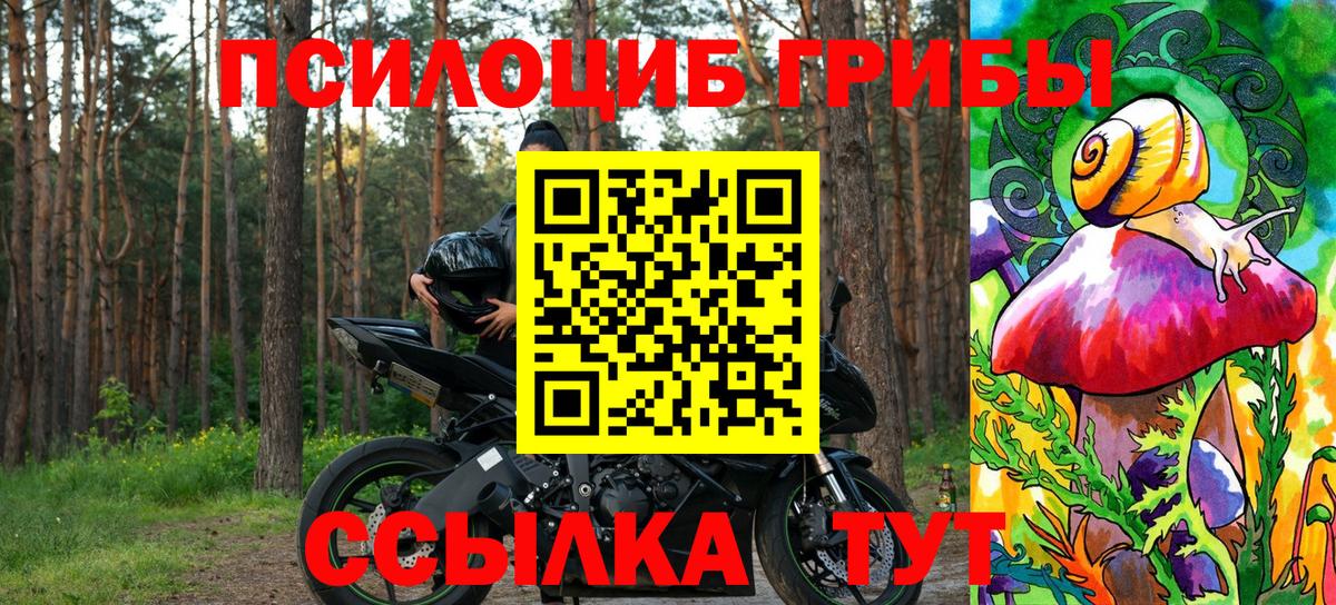 Псилоцибиновые грибы прущие грибы  Вход с VPN  Псилоцибиновые грибы прущие грибы  Петропавловск-Камчатский 